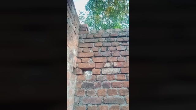 chiranjitho1  30-08-2022